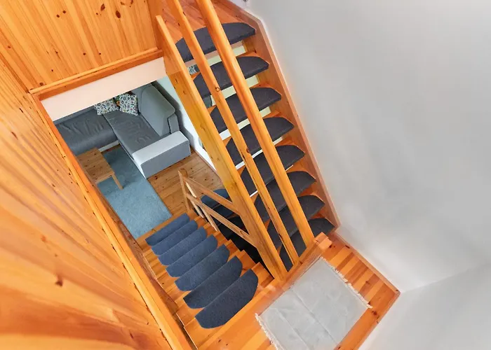 Letniskowy Patricia *